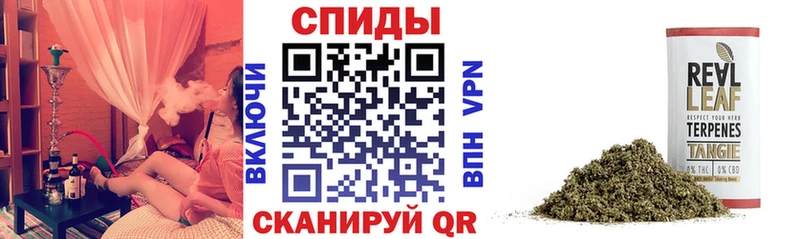hydra tor  где купить наркотик  Тейково  Бутират 1.4BDO 