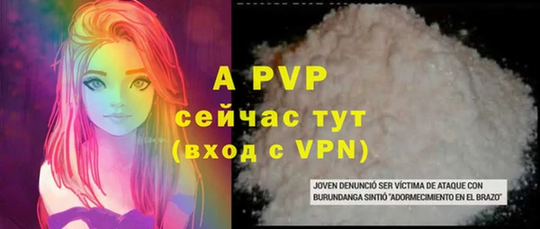 PSILOCYBIN Медвежьегорск