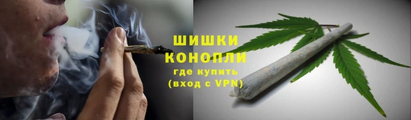 PSILOCYBIN Медвежьегорск