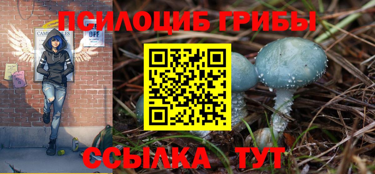 Псилоцибиновые грибы Psilocybe  Тейково 