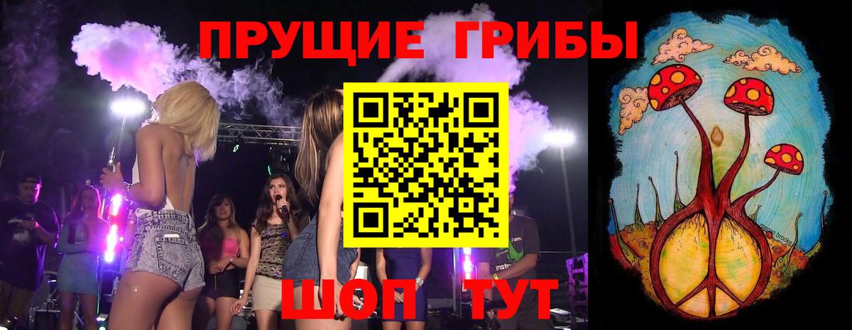 Галлюциногенные грибы прущие грибы Тейково