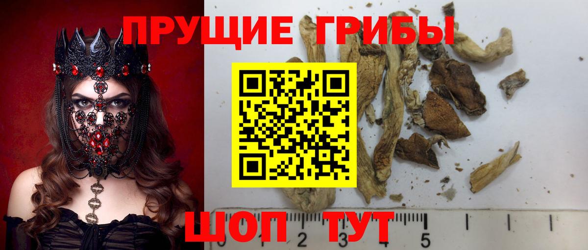 Галлюциногенные грибы мицелий Тейково